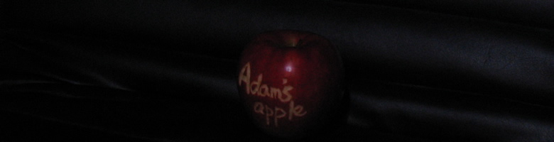 メモリ増設１バナー